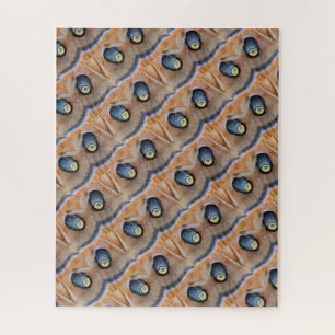 Polyphemus Moth Abstrakt