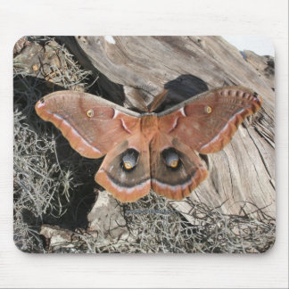 Polyphemus Motten-Mausunterlage Mousepad