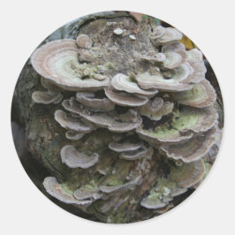 Polypore-Aufkleber Runder Aufkleber