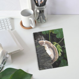 Polypore Fungus auf Baumstumpf Notizbuch