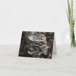 Polypore-Pilzkarte (leer) Dankeskarte