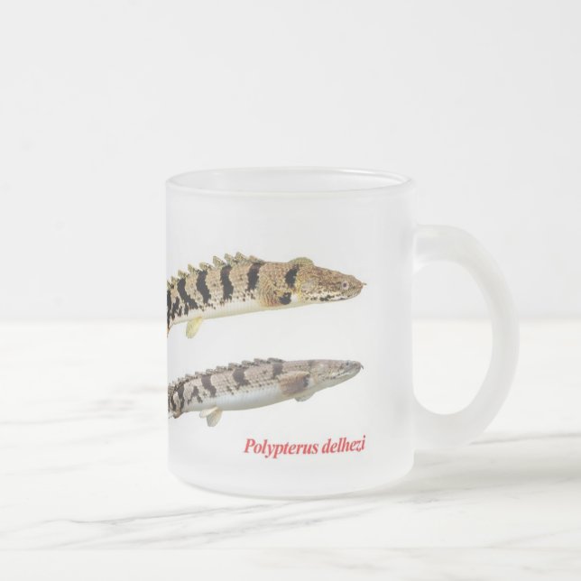 Polypterus delheziのマグカップ mattglastasse (Rechts)