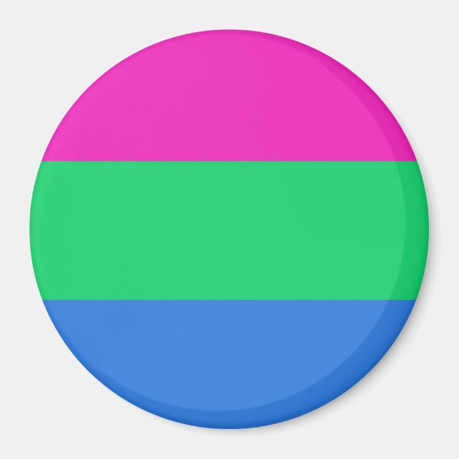 Polysex Pride Flag Magnet (Vorne)