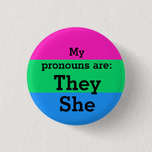 Polysexualität Flag mit Pronomen Button