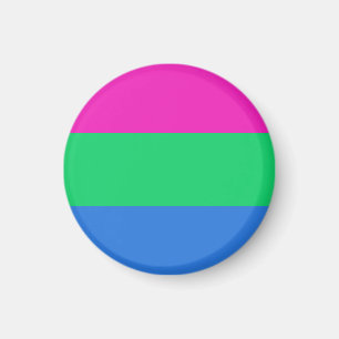 Polysexuelle Pride-Flagge Magnet