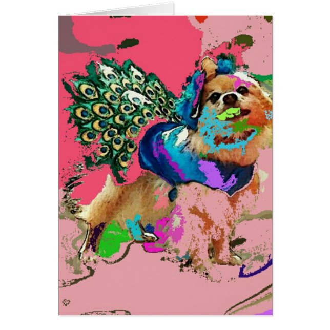 Pom ist ein rosa Pfau (Vorne)