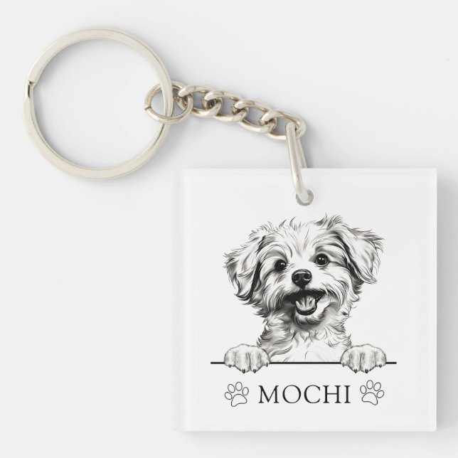 Pomapoo Dog Hand Zeichnend Personalisiert Schlüsselanhänger (Vorderseite)