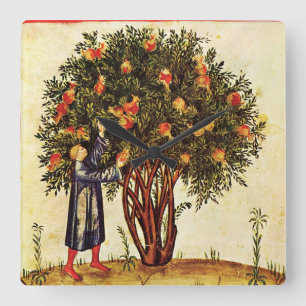 POMEGRANATE TREE ANTIQUE MEDIEVAL PARCHMENT,Rustic Quadratische Wanduhr