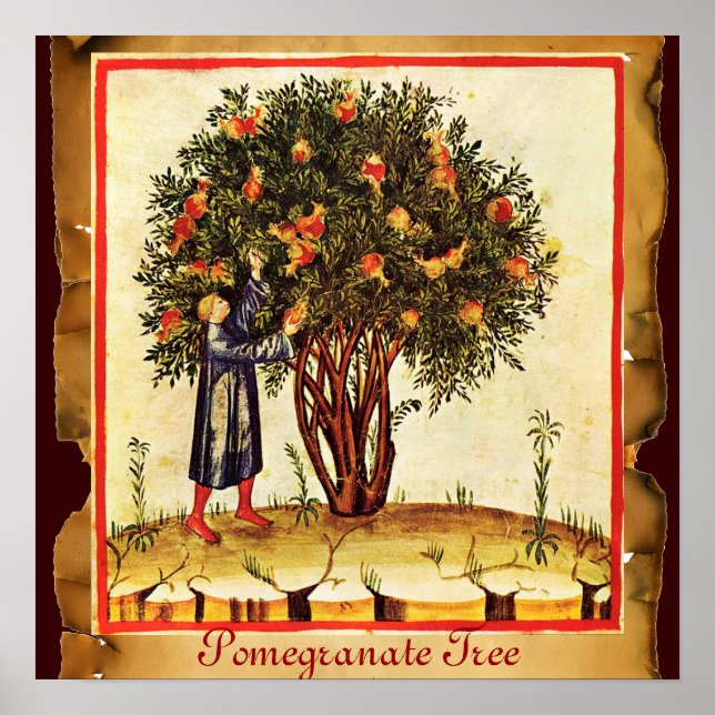 POMEGRANATE TREE ANTIQUE PARCHMENT POSTER (Vorne)
