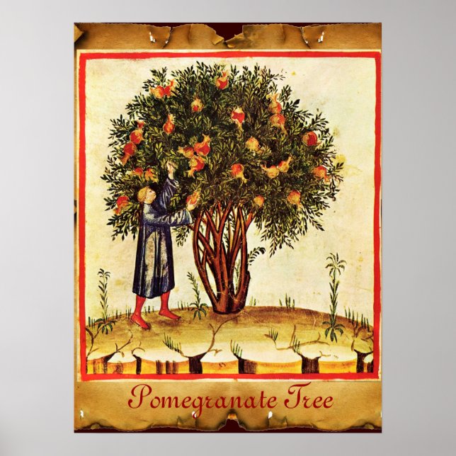 POMEGRANATE TREE ANTIQUE PARCHMENT POSTER (Vorne)
