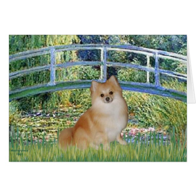 Pomeranian 3 - Pont (Devant horizontal)