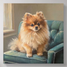 Pomeranian