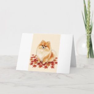 Pomeranian Ahornblatt Streuung Grußkarte Karte