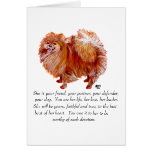 Pomeranian Andenken Hündin