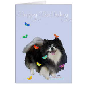 Pomeranian avec Papillons