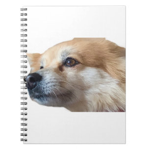 Pomeranian Dog Puppy Pommy Pommie Pet Notizblock