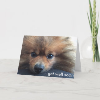 Pomeranian Get Well Soon Card Karte