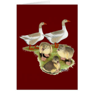 Pomeranian Goose Family