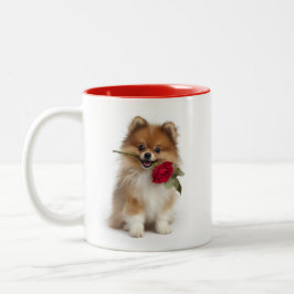 Pomeranian Love Zweifarbige Tasse