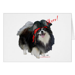 Pomeranian noir Pirate - Arrr!