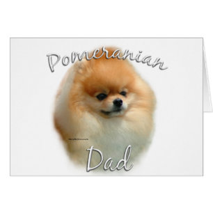 Pomeranian Papa 2