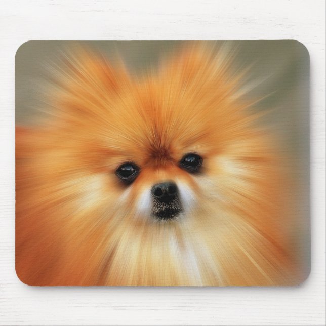 Pomeranian Photography Zoom Speed Art Portrait Mousepad (Vorne)
