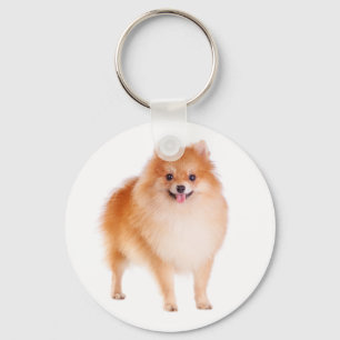 Pomeranian Pom Pom Welpen-Hund-Anhänger Schlüsselanhänger