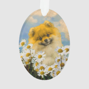 Poméranie dans la peinture de Chiens - Art origin