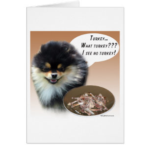 Poméranie (noir) Turquie