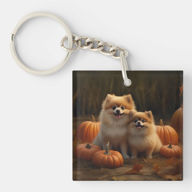 Poméranien Chiot Automne Citrouille délice (Devant)