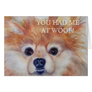 POMERANIEN EN OR CUTE