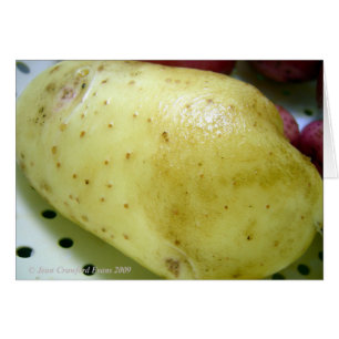 Pomme de terre Yukon Gold