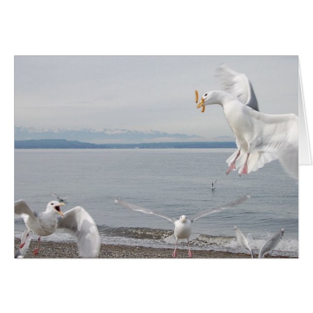 Pommes frites (Vorderseite (Horizontal))