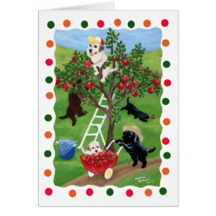 Pommier Labradors (point)