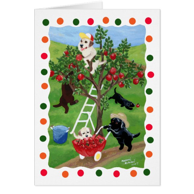 Pommier Labradors (point) (Devant)