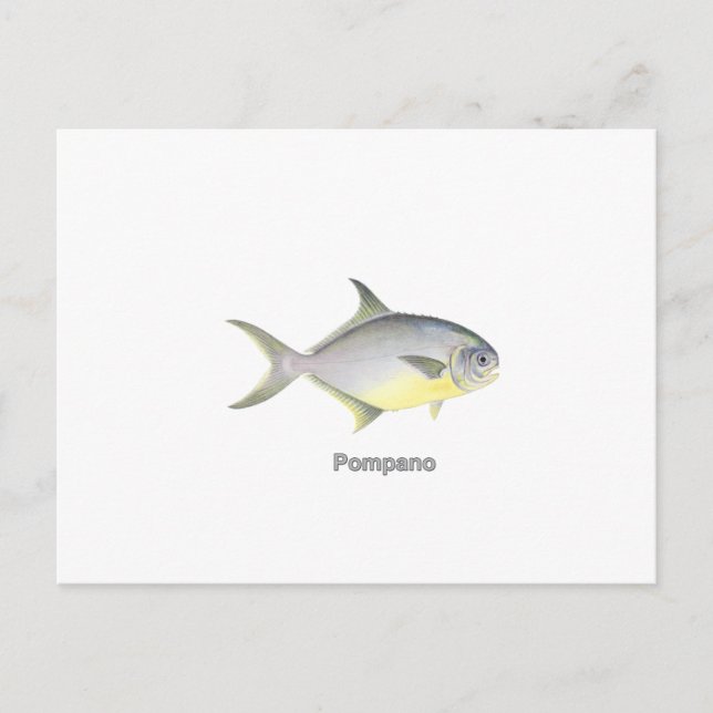 Pompano (mit dem Titel) Postkarte (Vorderseite)