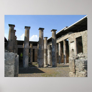 Pompei Preserved Poster