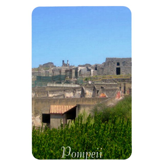 Pompeii Italien Magnet (Vertikal)