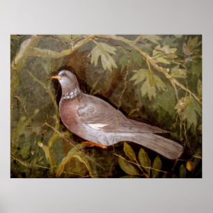 POMPEII-SAMMLUNG / DOVE IN THE GARDEN POSTER