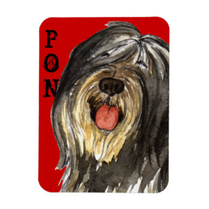 PON-Farbblock Magnet