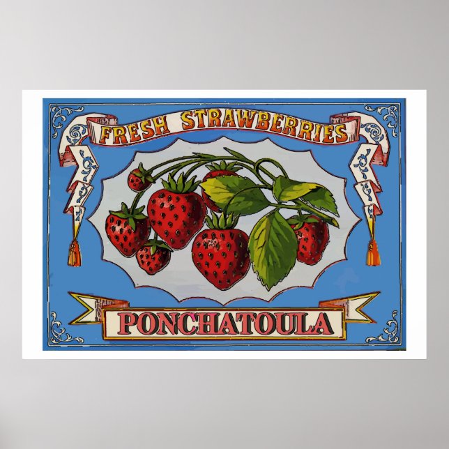 Ponchatoula Erdberies, LA Poster (Vorne)