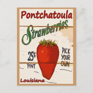 Ponchatoula Strawberries Card Postkarte