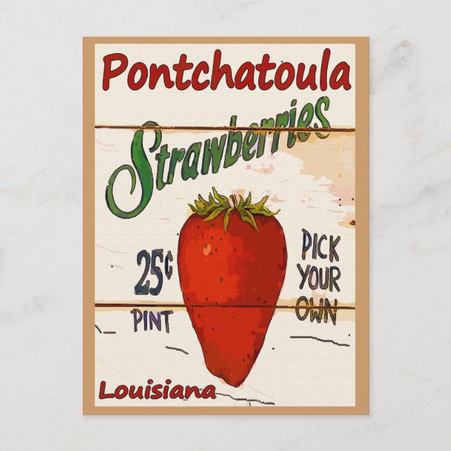 Ponchatoula Strawberries Card Postkarte (Vorderseite)