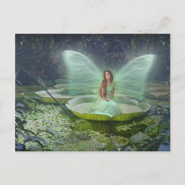 Pond Fairy Postkarte (Vorderseite)