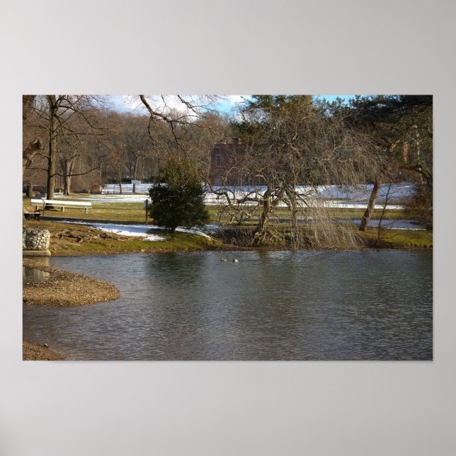 Pond Foto Poster (Vorne)