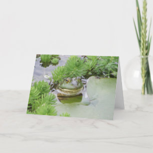 Pond Frog Karte