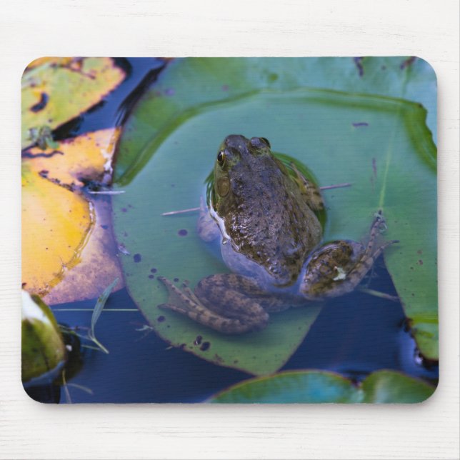 Pond Frog Mousepad (Vorne)