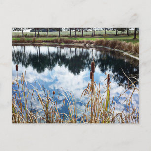 Pond Landscape Nature Fotografy Art Postkarte