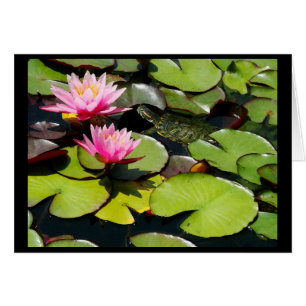 Pond Lilypad & Turtle Card