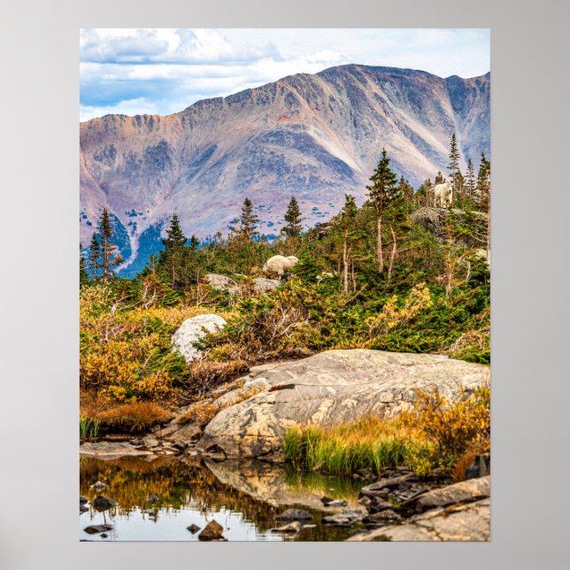 Pond on the Mountain // Rocks and Trees Poster (Vorne)
